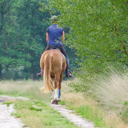 De Paalberg Hoenderloo