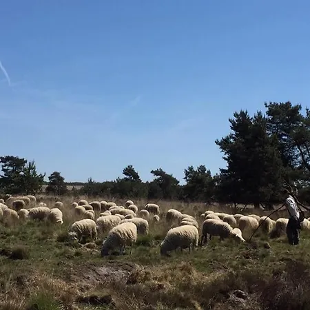 Bed & Breakfast De Paalberg Hoenderloo