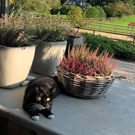 De Paalberg Bed & Breakfast