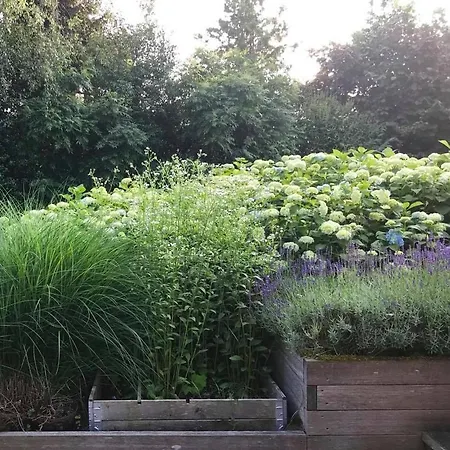 Bed & Breakfast De Paalberg