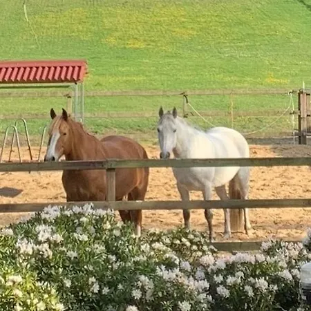 Bed & Breakfast De Paalberg Hoenderloo