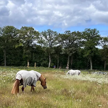 De Paalberg Hoenderloo