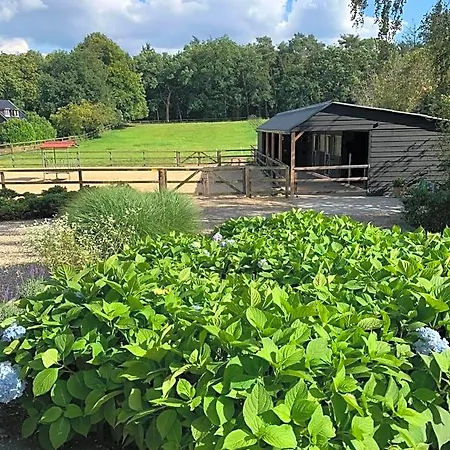 De Paalberg Bed & Breakfast Hoenderloo