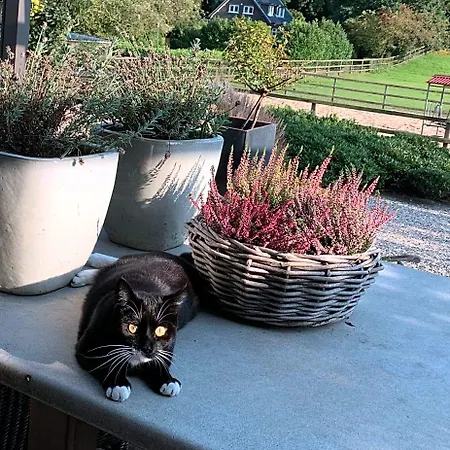 De Paalberg Bed & Breakfast