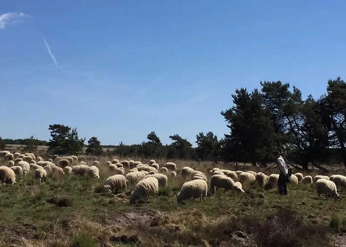 Nocleg ze śniadaniem De Paalberg Hoenderloo
