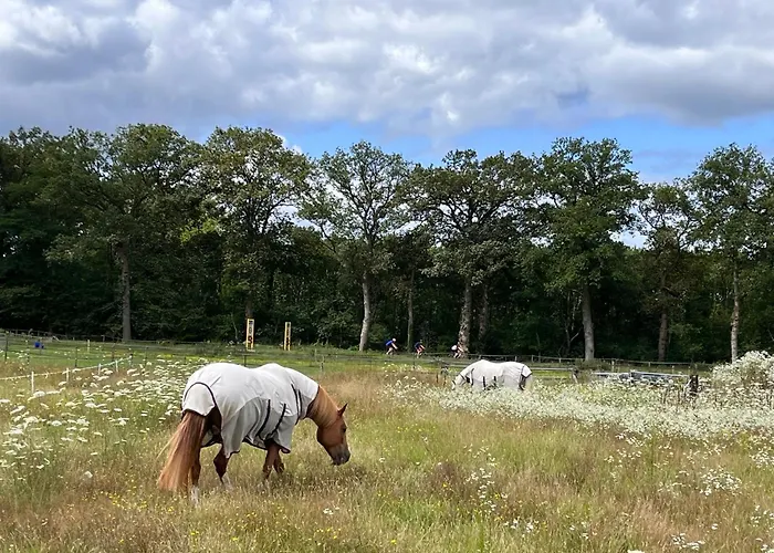 De Paalberg Hoenderloo