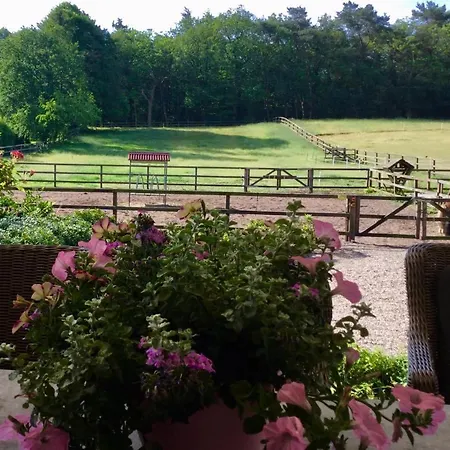 Bed & Breakfast De Paalberg