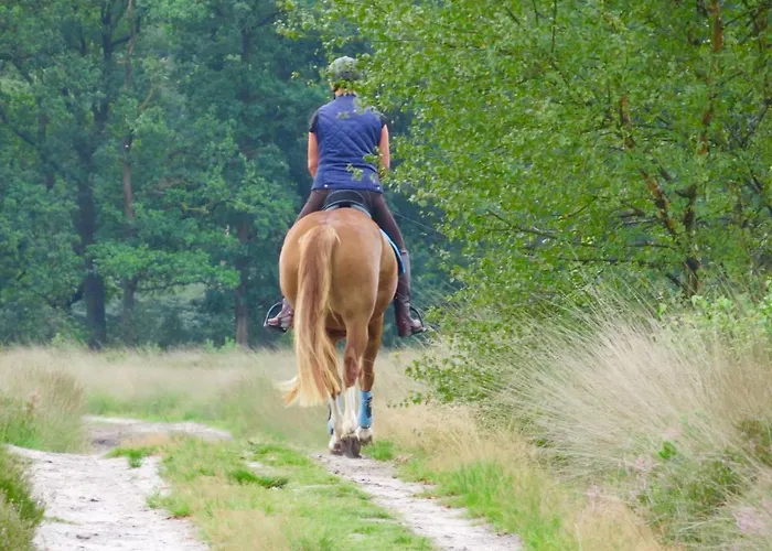 De Paalberg Hoenderloo