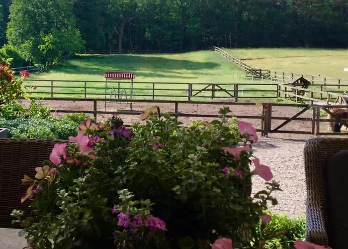 Bed & Breakfast De Paalberg