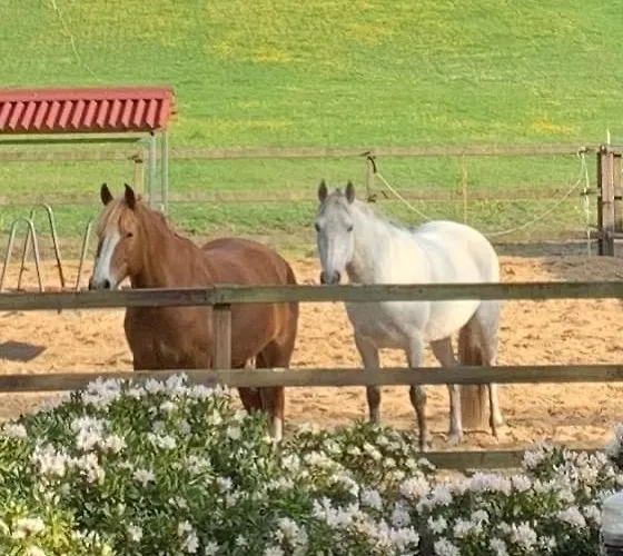 Bed & Breakfast De Paalberg Hoenderloo