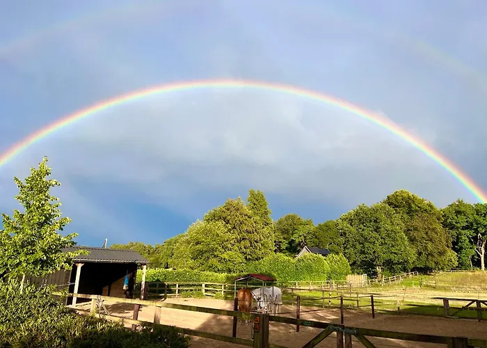 Bed & Breakfast De Paalberg